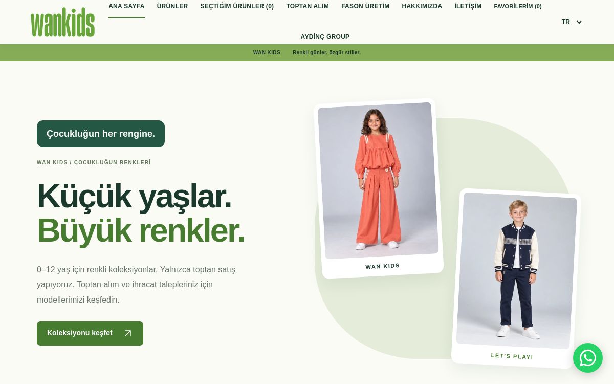 WAN KIDS web sitesi ekran görüntüsü